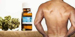 Benefits of Using CBD Oil for Anal Sex