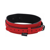 Sex And Mischief Leash & Collar - Red with Black Trim