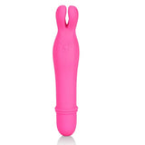 Shanes World Bedtime Bunny