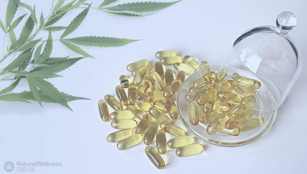 Benefits of CBD Capsules