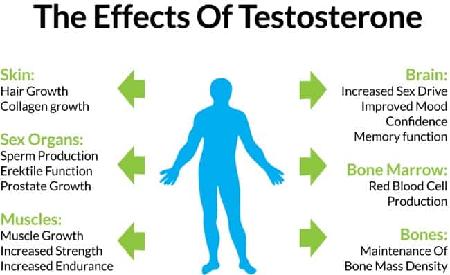Can Red Light Therapy help increase testosterone?