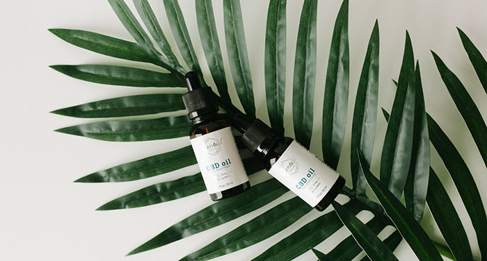 Can CBD Boost Your Immune System?