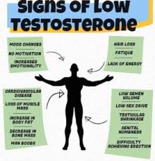 How Low Testosterone Affects Men  Health, Mood, and Sex
