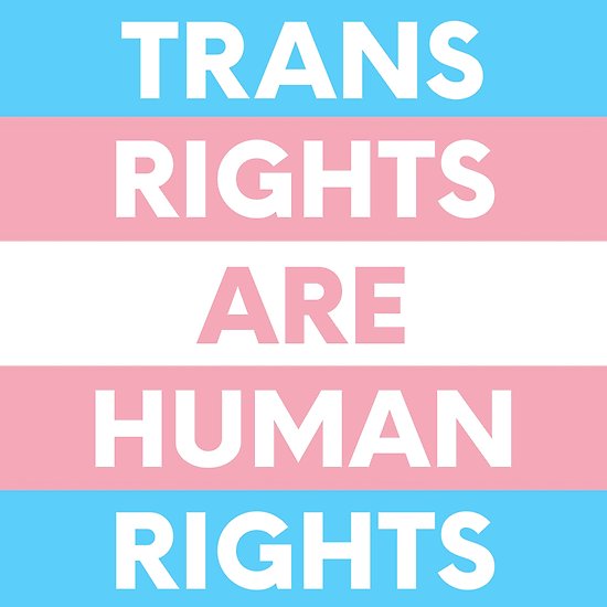 How Trans rights are at risk and what You can do to Help