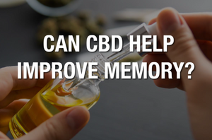 CAN CBD HELP IMPROVE YOUR MEMORY?