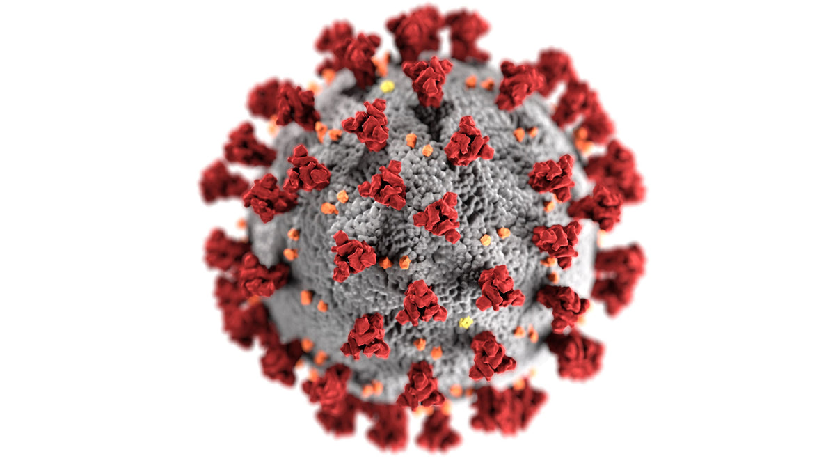 STIs Explained: HPV, Herpes, Chlamydia, Gonorrhea, Syphilis & HIV Prevention