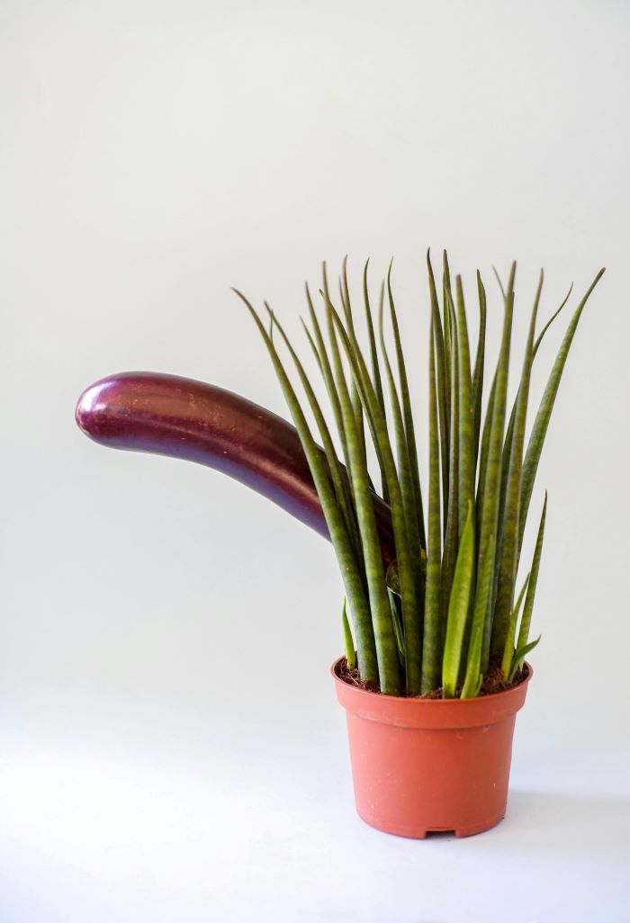 Comprehensive Guide to Managing Erectile Dysfunction: Natural Solutions, Supplements, and Effective Products