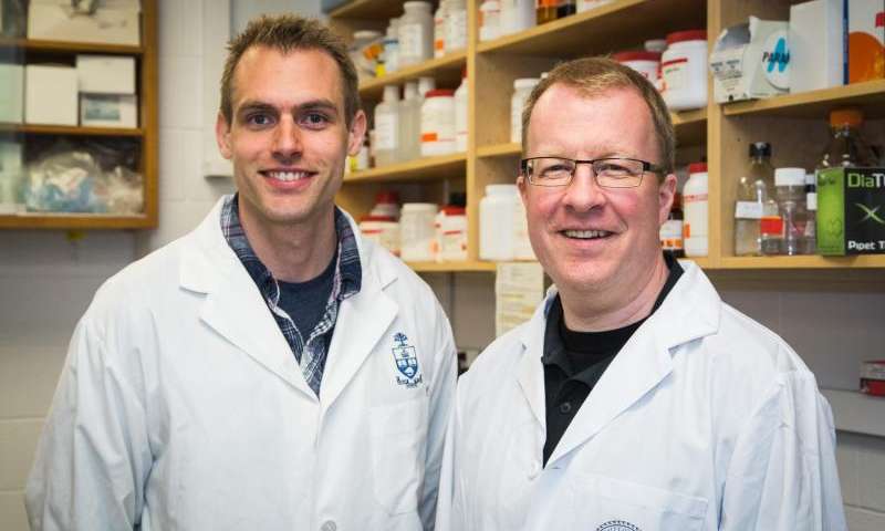 La investigación sobre la gonorrea descubre un nuevo desencadenante del sistema inmunitario