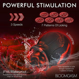 Bloomgasm Black Kiss Rimming Rose