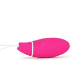 LELO Intimina Kegel SMART