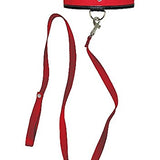 Sex And Mischief Leash & Collar - Red