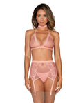 Fishnet and Lace 4 Piece Set