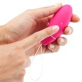 LELO Intimina Kegel SMART