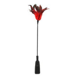 Sex & Mischief Feather Slapper Spanker - black and red