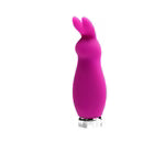 VEDO Crazzy Bunny Rechargeable Bullet -  Perfectly Purple